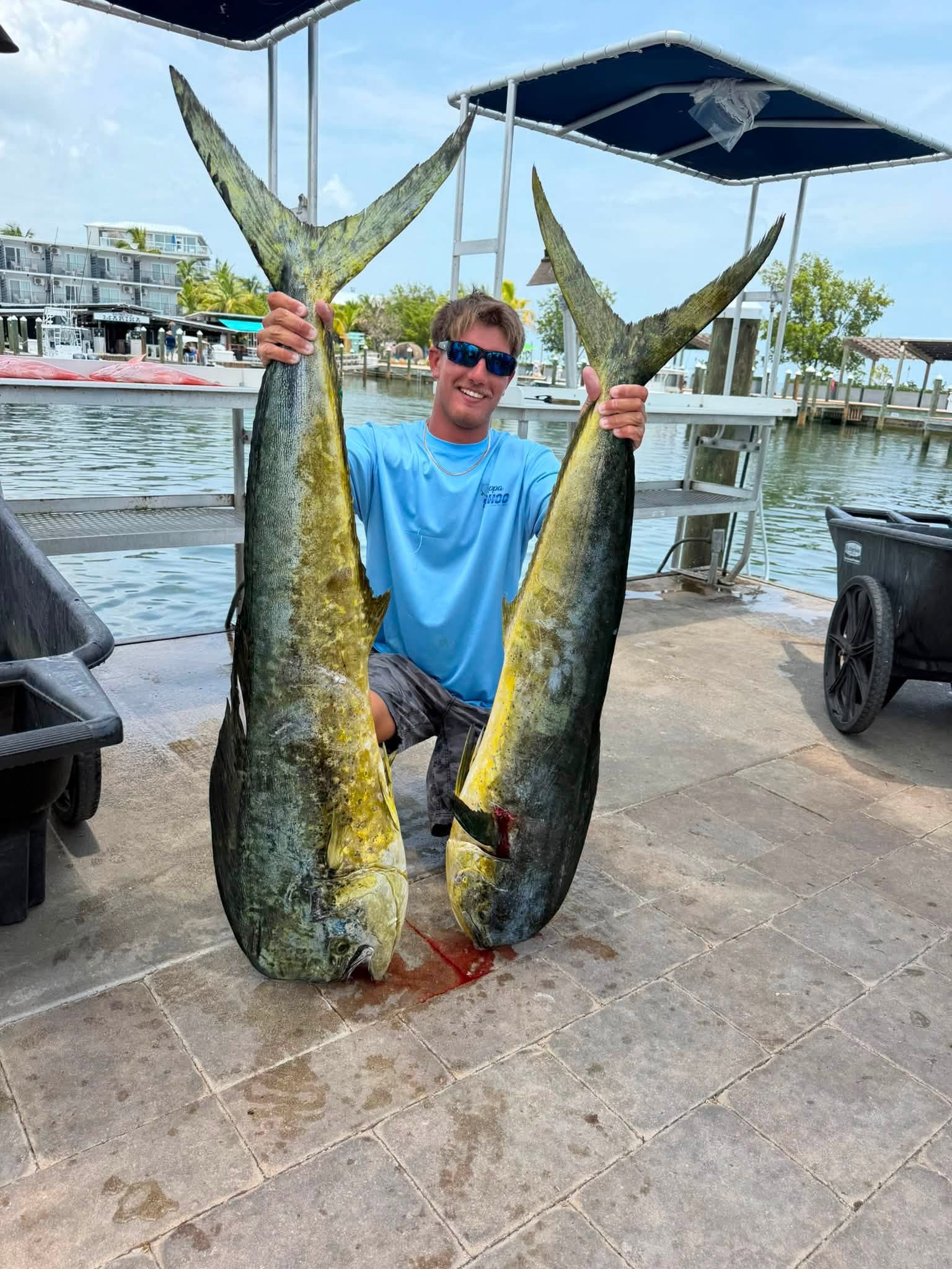 Mahi Mahi Charters